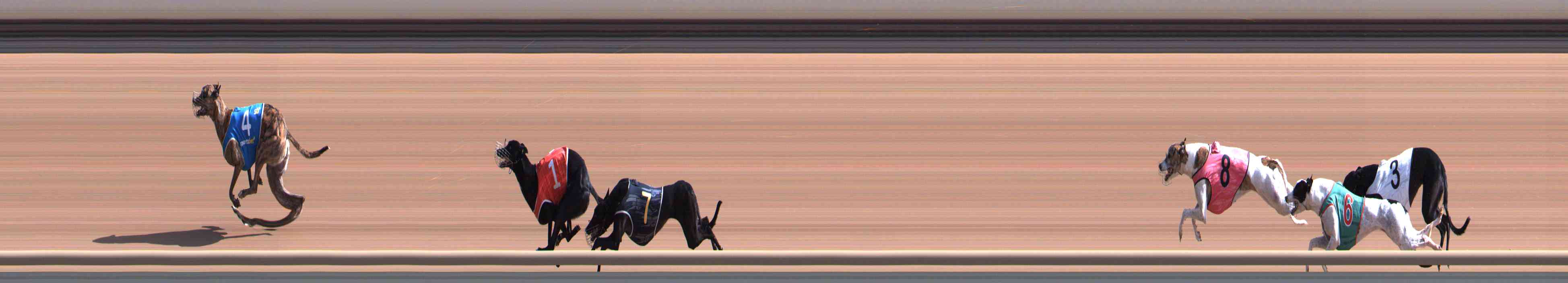 Race result finish photo